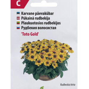 Päevakübar Toto Gold 20s