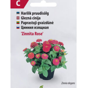 Pruudisõlg Zinnita Rose 20s