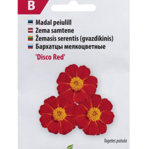 Peiulill Disco Red 80s