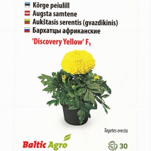 Peiulill Discovery Yellow 30s