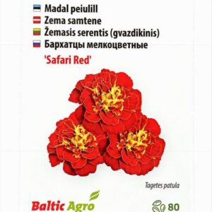 Peiulill Safari Red 80s