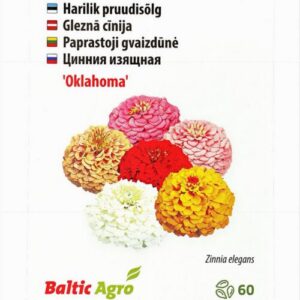 Pruudisõlg Oklahoma 60s