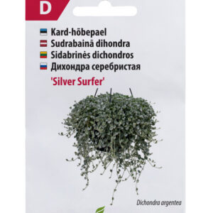 Hõbepael Silver Surfer 5s