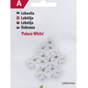 Lobeelia White Palace 50 pilli