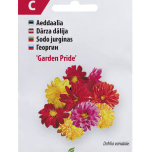 Daalia Garden Pride 50s