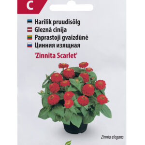 Pruudisõlg Zinnita Scarlet 20s