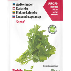Koriander Santo 1g