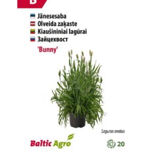 Jänesesaba Bunny 20s