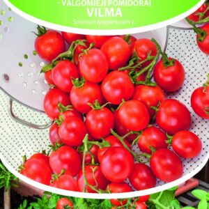 Tomat Vilma 1g