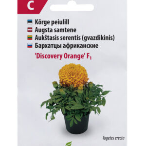 Peiulill Discovery Orange 30s