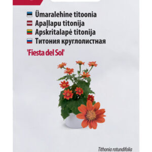 Titoonia Fiesta del Sol 10s