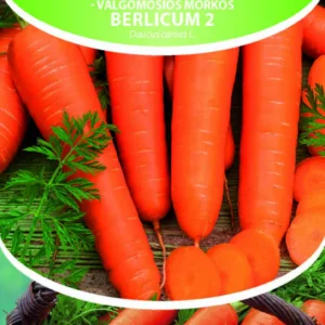 Porgand Berlicum 2 3g