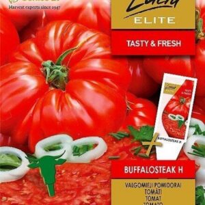 Tomat Buffalosteak H 10s